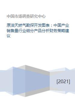 天燃气勘探开发图表 中国产业销售量行业细分产品分析财务策略建议